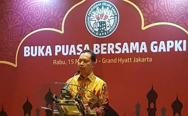Triwulan I-2019, Ekspor Minyak Sawit Naik 16%