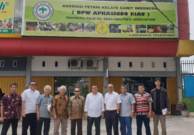 Pertama di Dunia, Memupuk Sawit Pakai Aplikasi Satelit