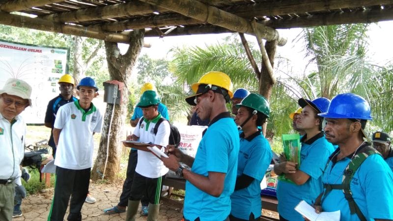 Menjemput Masa Depan di Bawean