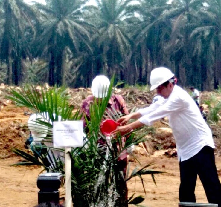 Menyoal Duit Pungutan BPDPKS