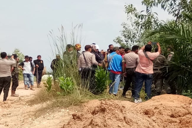 Menyoal Kawasan Hutan (1)