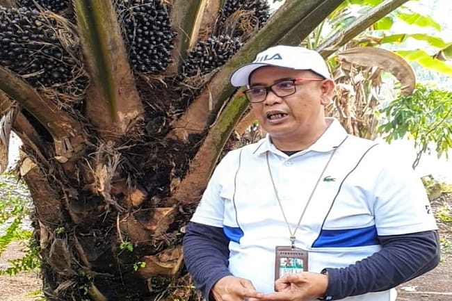 Apkasindo: WHO Keterlaluan!