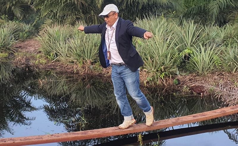 Apkasindo, Riwayatmu Kini