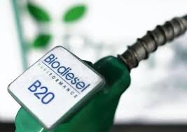 Antara Biodiesel  dan Slogan Pemilu Jadul 