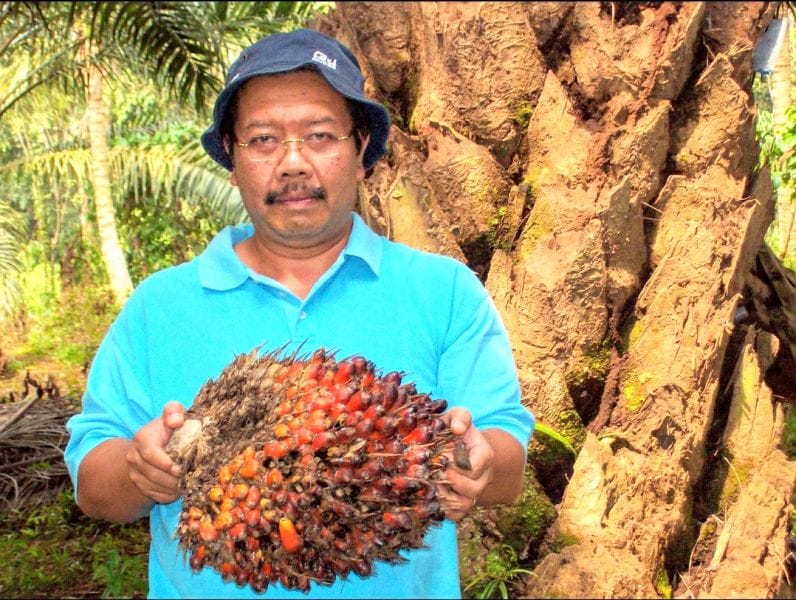 Yang Penting Klaim Dulu, 