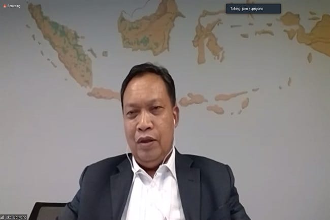 Plus Minus Sawit Sepanjang Pandemi