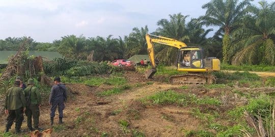 Terkait Petani Gondai, Aliansi BEM se-Riau Ingatkan Soal Kehutanan