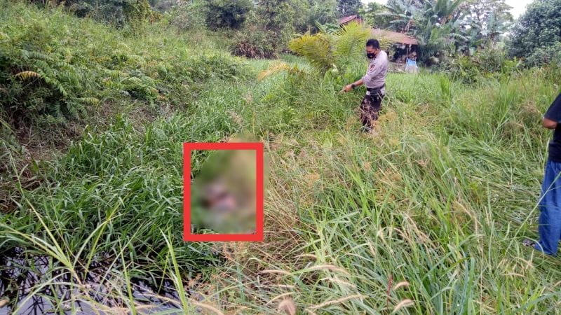 Bau Busuk di Bawah Jembatan Maredan Ternyata Mayat Manusia