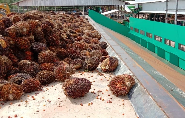 Setelah SBE Menjadi Limbah Non-B3