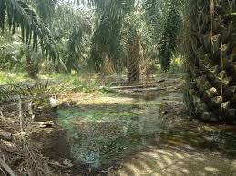 DPRD Siak Ingatkan PT TKWL Dua Hal Ini