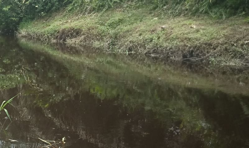 Ternyata, Limbah Cair PT TKWL Dibuang ke Sungai Alam Buantan