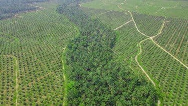 Target PSR Sama Seperti Tahun Lalu