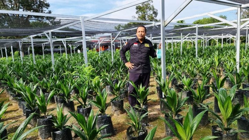 Ooalah...,Harga Sawit di Kampung Pak Mentan Kok Rendah Amat Ya?