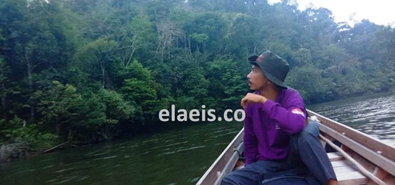 Cerita Perut dan Hutan Alam