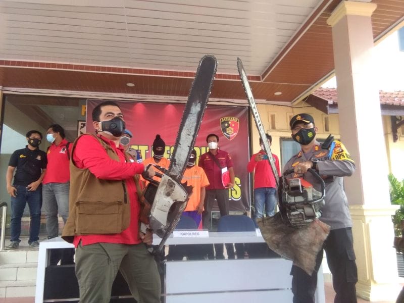 Polisi Tangkap Pelaku Ilegal Loging di Bengkalis