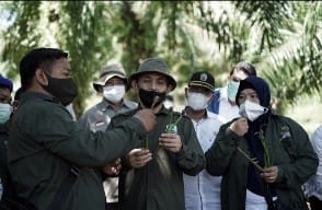 BRGM Akan Bantu Rehabilitasi Mangrove di 9 Provinsi, Termasuk Riau