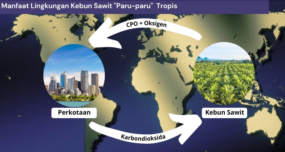 Riau; Saban Tahun Serap 218 Juta Ton Karbon, Setor Duit Rp48 Triliun