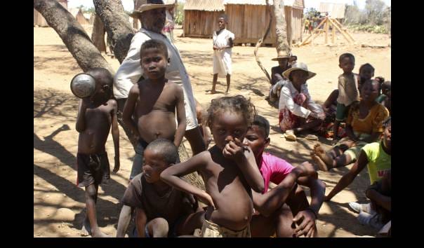 Kelaparan, Warga Terpaksa Makan Daun dan Belalang