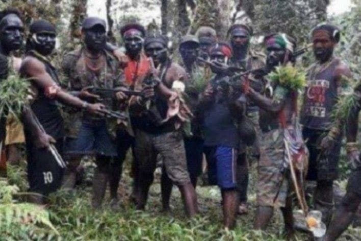 Berulah Lagi, KKB Papua Bakar Sekolah dan Puskesmas