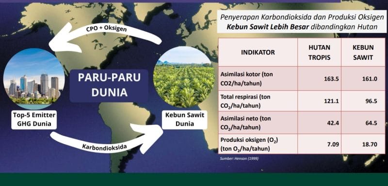167 Juta Hektar Lagi Hutan Akan Binasa