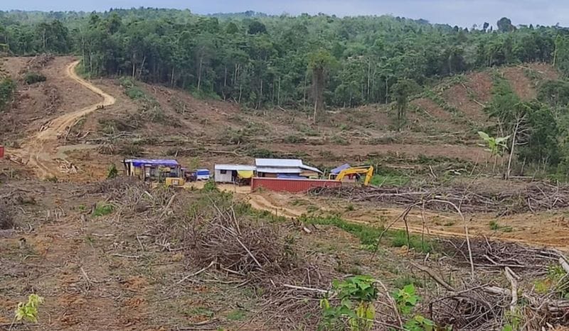 PT WKS : Kemitraan Dengan Perhutanan Sosial Untuk Percepatan Ekonomi