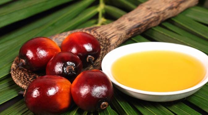 Tentang Manfaat Minyak Sawit untuk Kesehatan