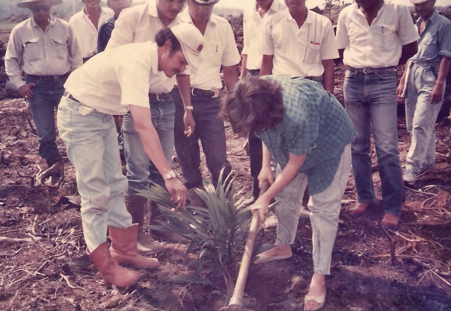 Gara-Gara Proyek NES, Sawit Rakyat Jadi Yes
