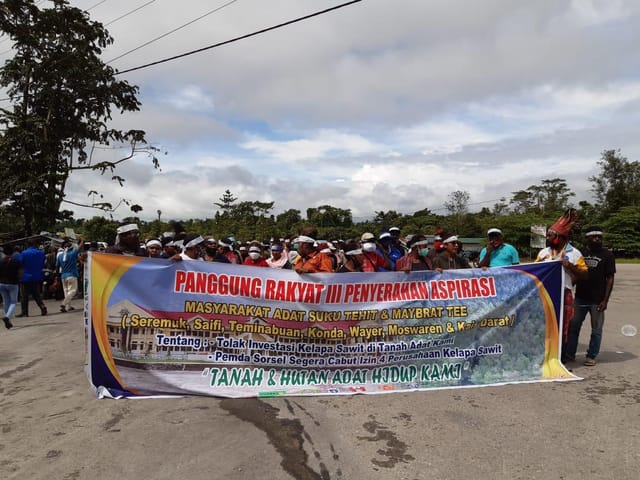 Rugikan Daerah, Izin Empat Perusahaan Sawit Dicabut