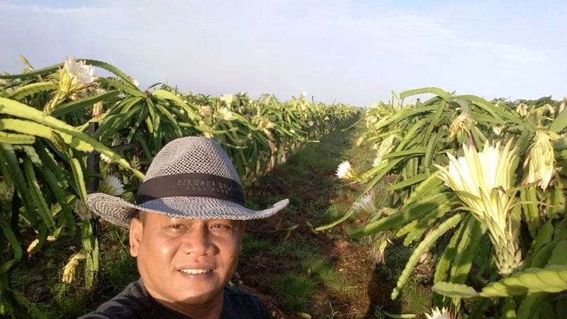 Peta Persaingan Pangan