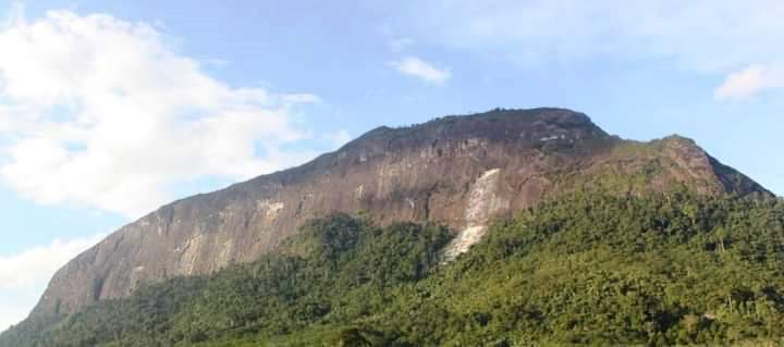 Sawit, Himsa dan Sungai Darah