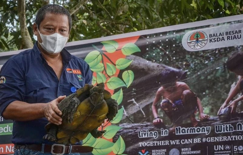 Puluhan Satwa Liar di Riau Akhirnya Bebas dari Belenggu