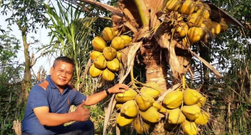 Nilai Jual Hebat, Lingkungan Hidup