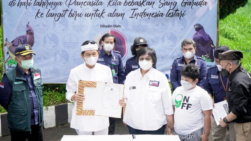 Bareng KLHK, Anak Usaha PLN Lepasliarkan Satwa Elang