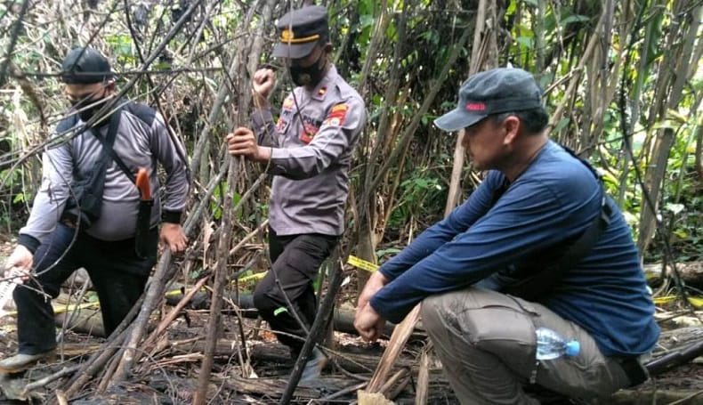 Ditemukan Tulang Gajah Betina, Diduga Diracun