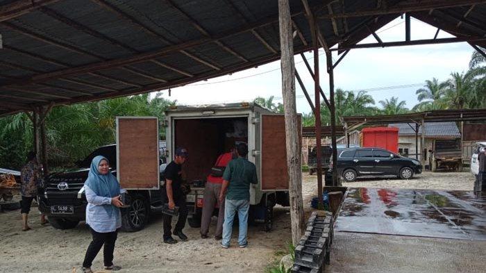 Harga TBS Petani Berlahan Sempit Tertekan di Tingkat Pengepul