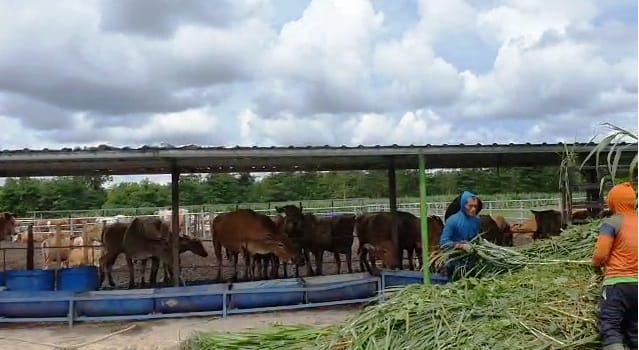 Menguji Potensi Bisnis