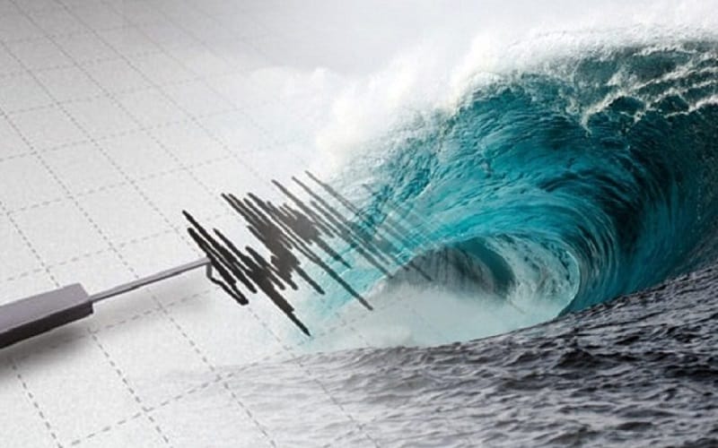 Maluku Diguncang Gempa, BMKG Keluarkan Peringatan Dini Tsunami