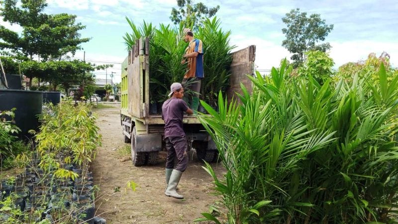 Belajar Dari Kesalahan di Masa Lalu
