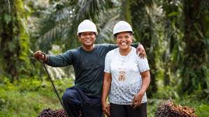 Pengusaha dan Pekerja Harmonis, Daya Saing Sawit Meningkat