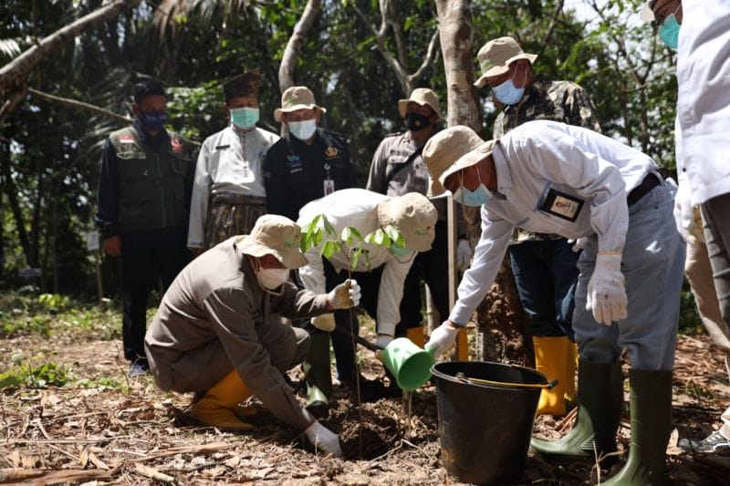 Wali Kota Pekanbaru dan PLN Riau Berikan TJSL untuk Lestarikan Sungai Siak
