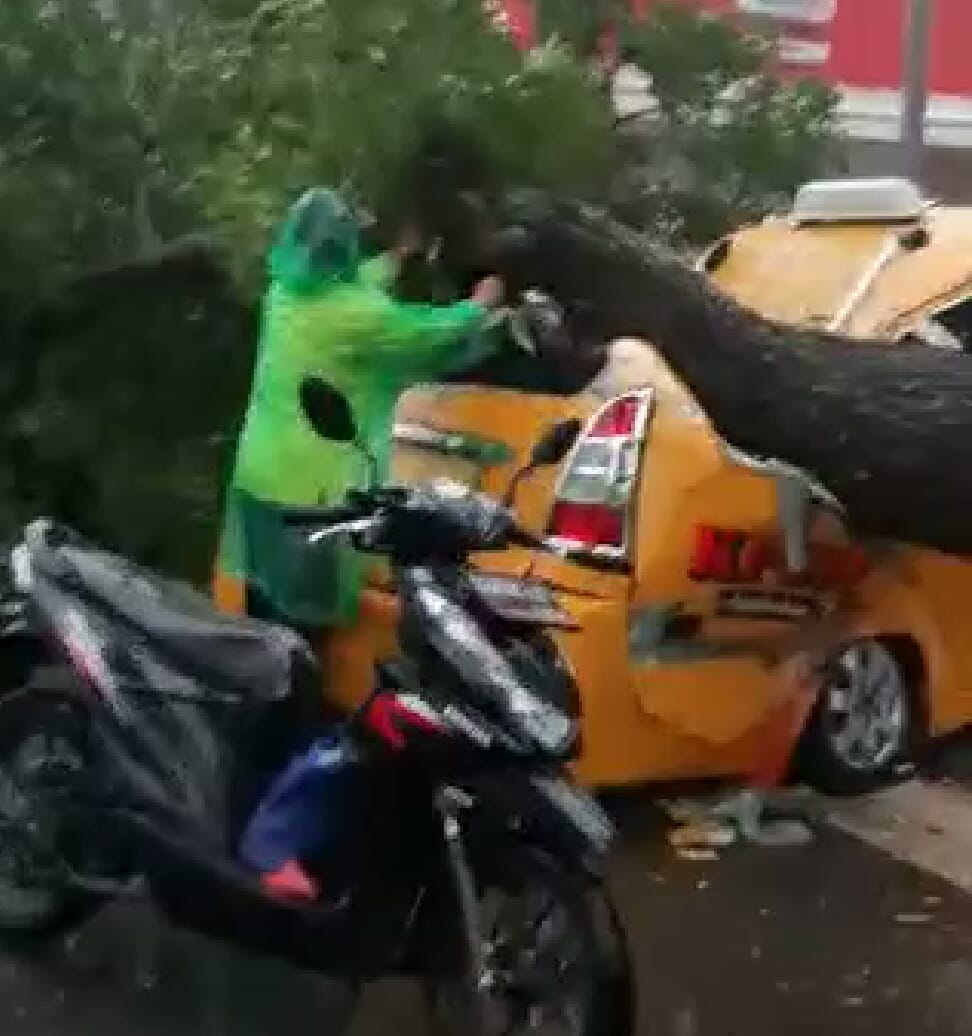 Pohon Akasia Tumbang Timpa Angkot, Dua Penumpang Tewas
