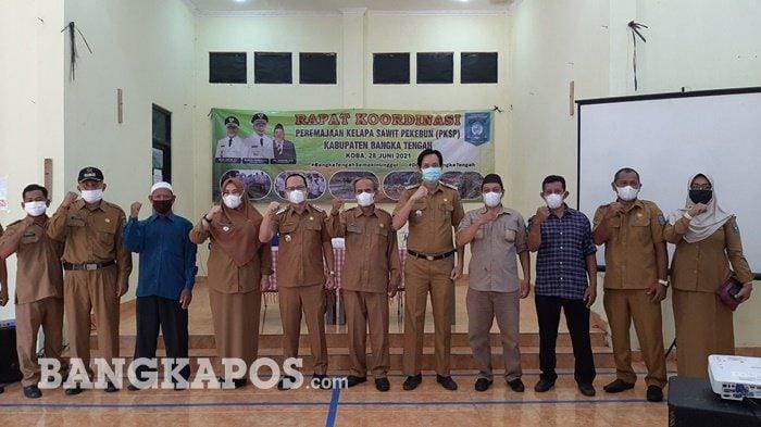 Masih Ada Kuota 300 Ha, Dicari Petani yang Mau Replanting Sawit