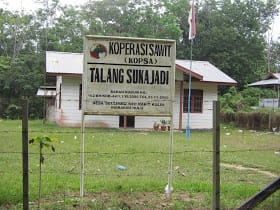 Koperasi Petani Sawit Belum Dapat Dukungan Pemerintah