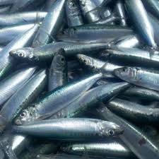 Ikan Dencis Penyumbang Inflasi Terbesar di Daerah ini