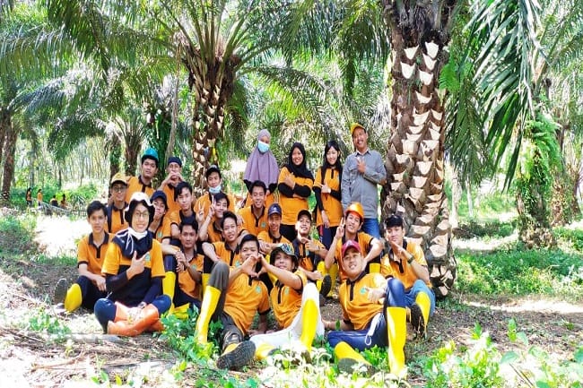 KH DPP Apkasindo: Ada Upaya 