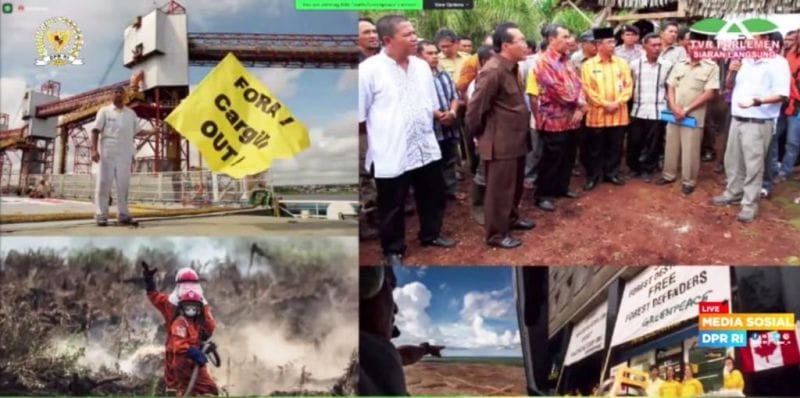 Begini Nasib Pekebun Sawit Indonesia Versi Greenpeace