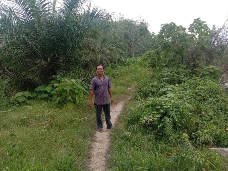 Lebih Murah, Tapi Banyak Petani Bergantung ke Pengepul dan Ram