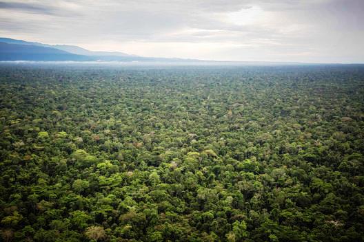 Soal Kawasan Hutan, Guru Besar IPB Bilang: Ruwet, Ruwet, Ruwet...