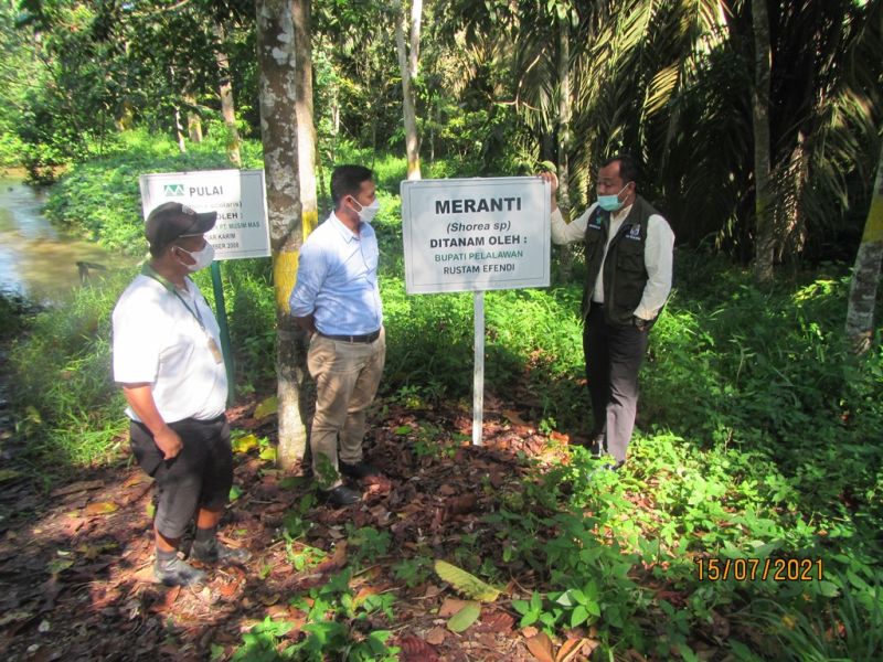 Sidak Perusahaan Sawit, Pak Ketua Dewan Tak Temukan Pelanggaran