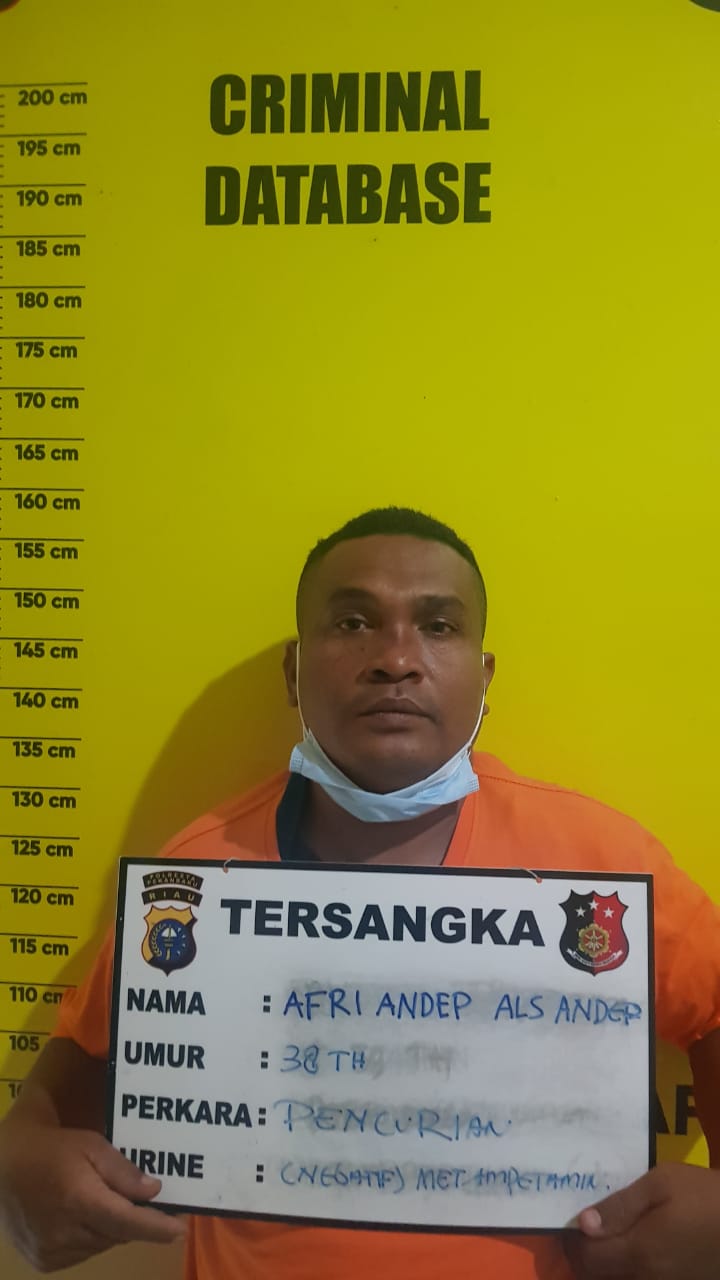 Curi Uang di Kotak Infak, Seorang Sopir di Pekanbaru Ditangkap